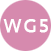 WG5 – Platform for networking and dissemination