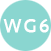 WG6 – Preparing cases of studies